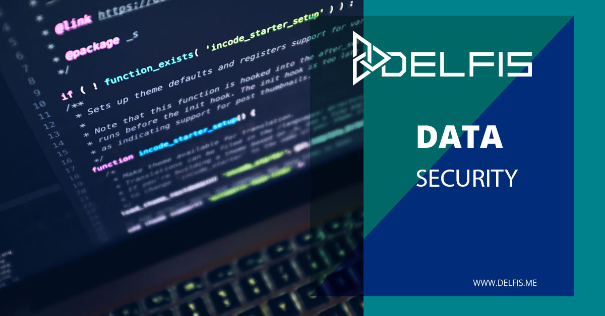 Delfis and data security